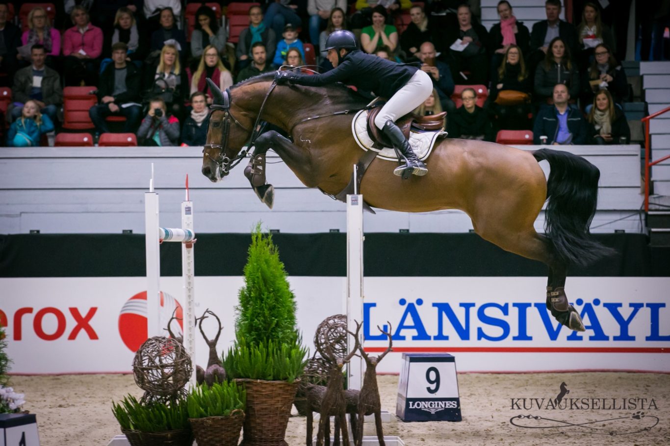 Finishing Touch at the FEI World Cup of Helsinki